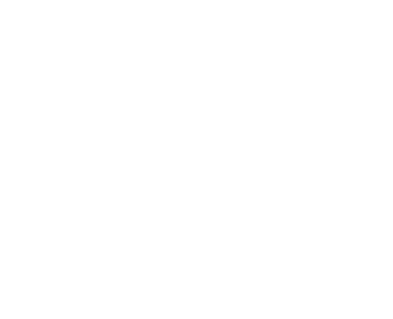 BM Textiles white Logo